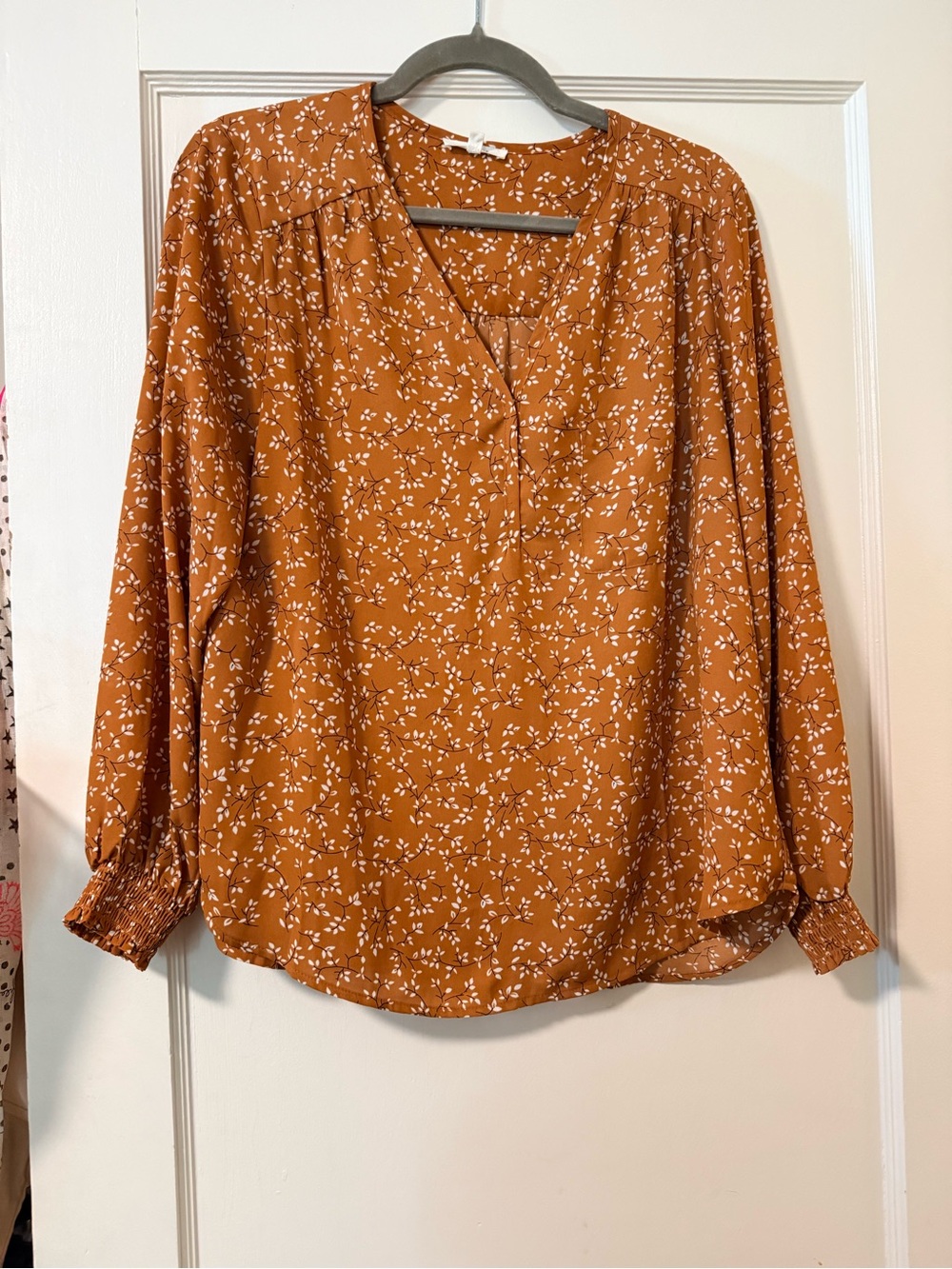 Pleione Rust Floral V-Neck Long Sleeve Top